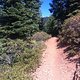 IMG 0673