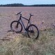 IMG00061-20100807-1330
