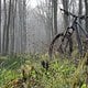 IMG 4725