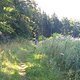 IMG 20150822 112051