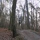 IMG 1444