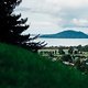 Von der Downhillstrecke gibt es einen wunderschönen Blick auf den Rotorua See