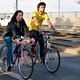 Critical Mass 1804 3894a