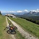 IMG 2961