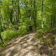Gratis Wurzeltrail