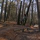 IMG 1787