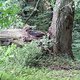 DSC02810