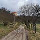 Gosecker Forst 🚵‍♂️ - Kreuz und quer, da geht noch mehr