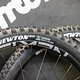 Der Goodyear Newton MTB Reifen