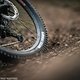 Goodyear-Wrangler-84308