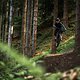 Der Trail ist ein sehr gelungener Mix aus gebauten Segmenten mit kleinen Gaps und naturbelassenen Wurzelpassagen.