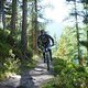 319 ausrollen im wald