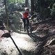 IMG 3325