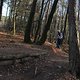 IMG 1748