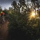 Tagesabschluss: Kollege Sebastian fliegt im letzten Sonnenlicht im Rahmen unseres Trailbike-Tests das Highlight des Tages hinunter. Toskana at its best!