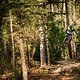 scott-sports-scott-dh-factory-bike-actionimage-2019-brendan-fairclough-DSC094443