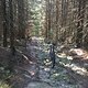IMG 7539