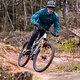 Commencal Tempo Action 2024 PSturm-24