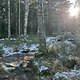 IMG 2455