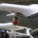 IMG 3391