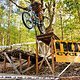 KoM drop