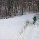 IMG 2654