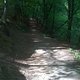 IMG 0846