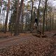 IMG 1959