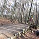 IMG 1569