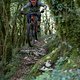 Unser Fotograph kann auch richtig Fahrrad fahren - Daniel fliegt durch den Wald