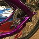Cannondale Hooligan 2018, Pinion, Gates... Rear wheel detail