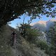 IMG 4447
