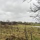Spaziergang am Nachmittag
