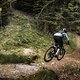 Lake-Bike-8076