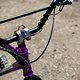 mongoose surly mullet