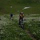 Alpenblumenwiesentrail
