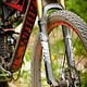 Specialized Camber S-Works 2014-Details-5