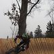 IMG 6857