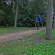 IMG 1161