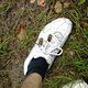 Foto0747