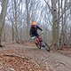 DSC02041-ck