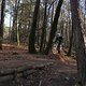 IMG 1732