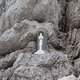 DSC01239