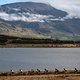 Riders skirt the Theewaterskloof dam during stage 5 of the 2022 Absa Cape Epic Mountain Bike stage race from Elandskloof in Greyton to Stellenbosch, South Africa on the 25th March 2022.