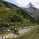 HS MTB ZERMATT 5