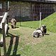 DSC09164