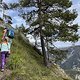 IMG 4967