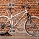 Jonas stellte das Hardtail namens „Hüttli 3.0“ vor.