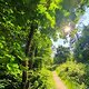 Beauty in Franconian Nature
