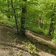 Gratis Wurzeltrail